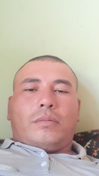  Alamo,   Xakim, 35 ,   ,   