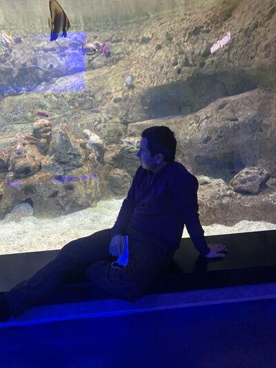  ,   Qobiljon, 36 ,   ,   , c , 