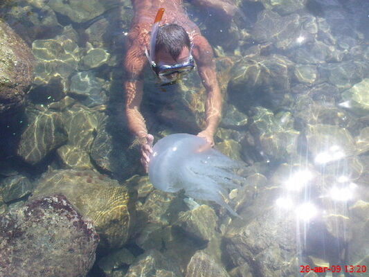  ,   Aleksandr, 47 ,   ,   , c 