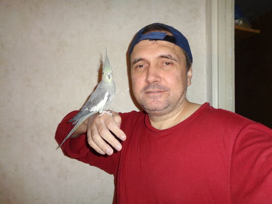  ,   , 52 ,   ,   , c 