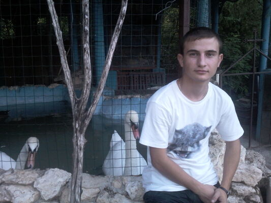  ,   , 33 ,     , c 