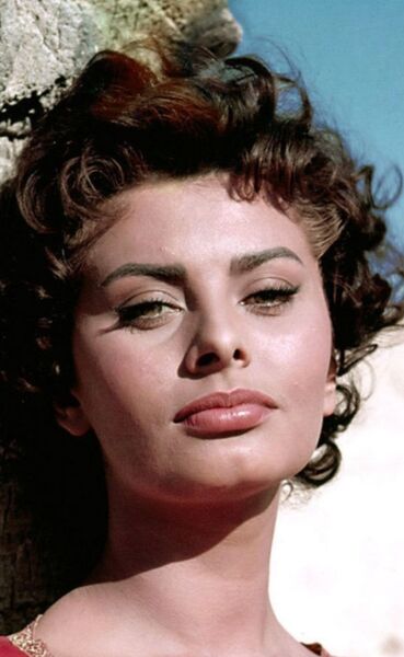  ,   , 41 ,     , c , 