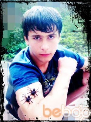  ,   Dima, 31 ,     , c , 