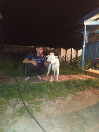  -,   , 26 ,   