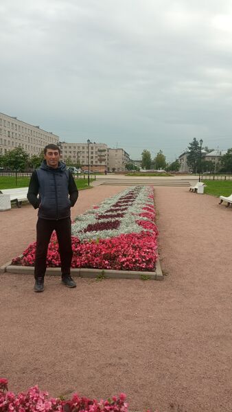  ,   , 38 ,   ,   