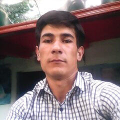  ,   Ali, 31 ,   