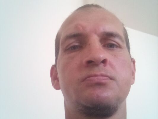  -,   , 41 ,   ,   , c 