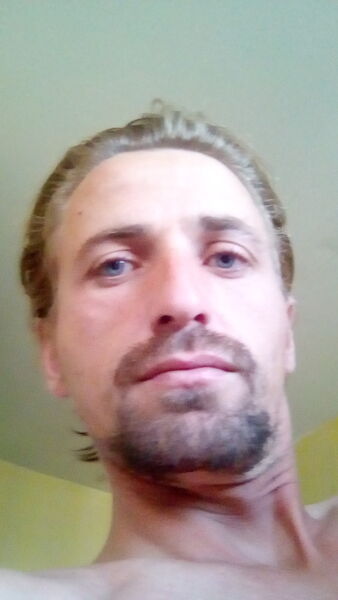  -,   , 38 ,   ,   , c 