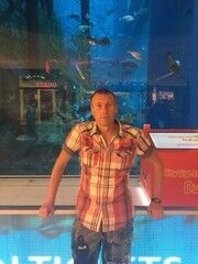  -,   , 50 ,   ,   