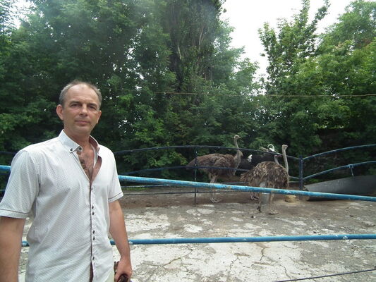  ,   , 52 ,   