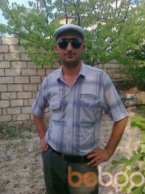  3425450  Cefer, 40 ,    