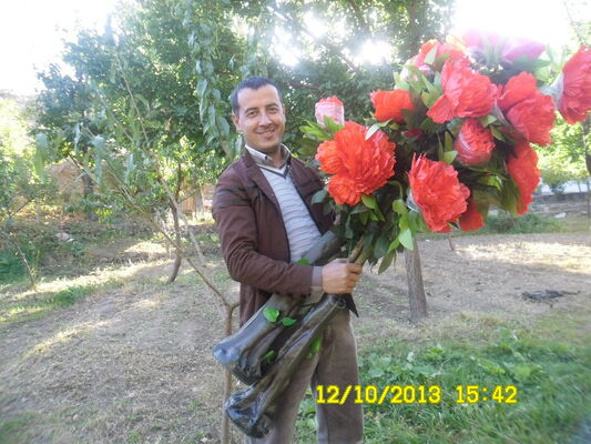  ,   , 47 ,   ,   , c 
