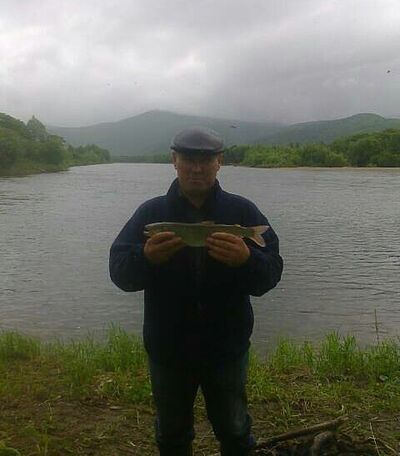  ,   , 55 ,   