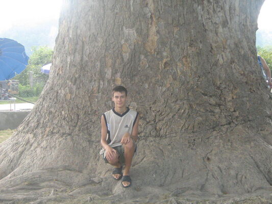  ,   , 36 ,   ,   , c , 