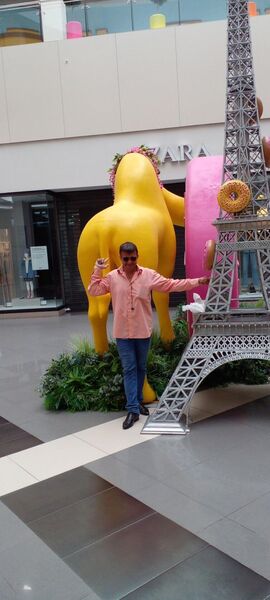  ,   , 43 ,   ,   