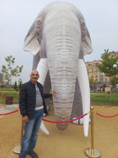  ,   , 55 ,   ,   