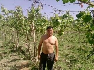  ,   , 41 ,   ,   , c 