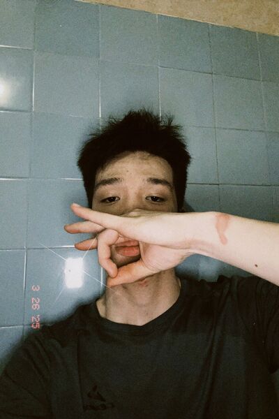  ,   Avdoll, 20 ,   ,   , c 