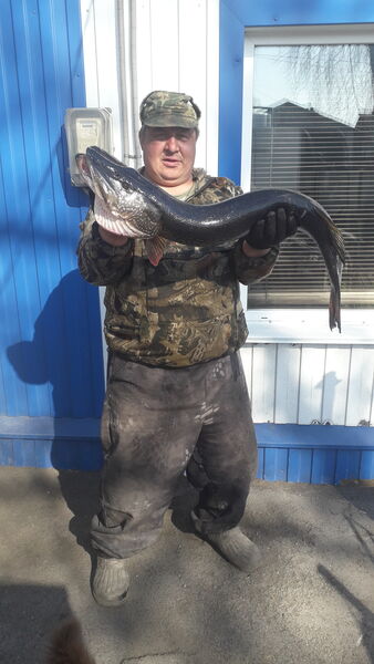  ,   Sergey, 52 ,   ,   