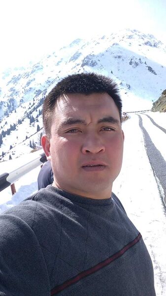  ,   Zoxid, 29 ,   ,   , c 