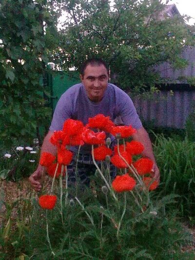  ,   , 43 ,   ,   , c , 