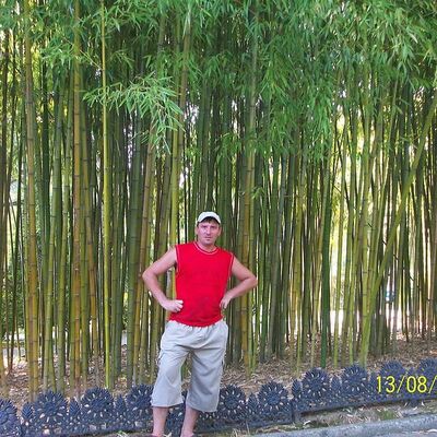  --,   , 44 ,   ,   , c , 