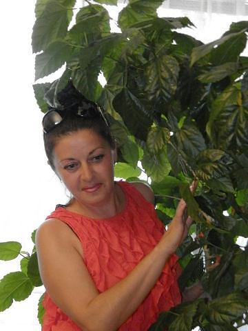  ,   , 54 ,     , c 