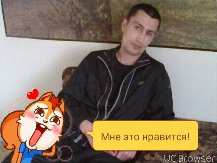  -,   , 51 ,   ,   , c 