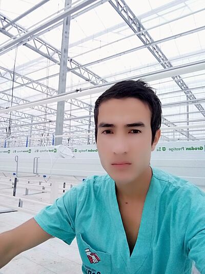  ,   Navruz, 31 ,   ,   , c 