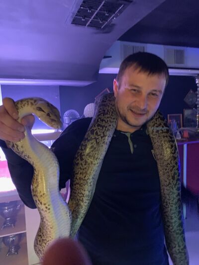 ,   , 37 ,   