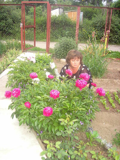  -,   , 60 ,     , c 