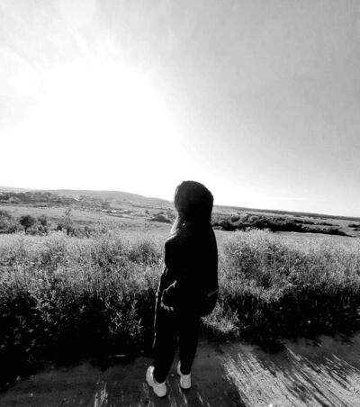  -,   , 31 ,     , c 