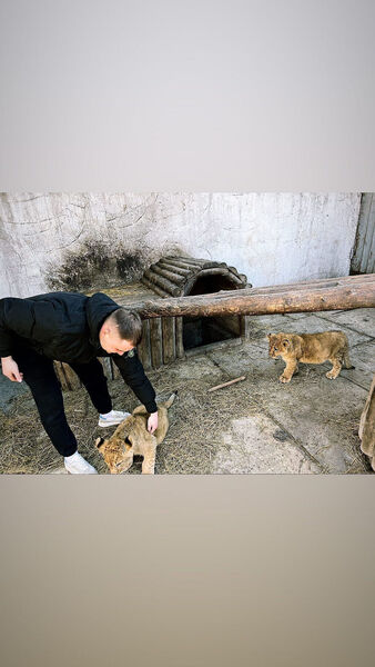  Zweibrucken,   Dima, 25 ,   ,   