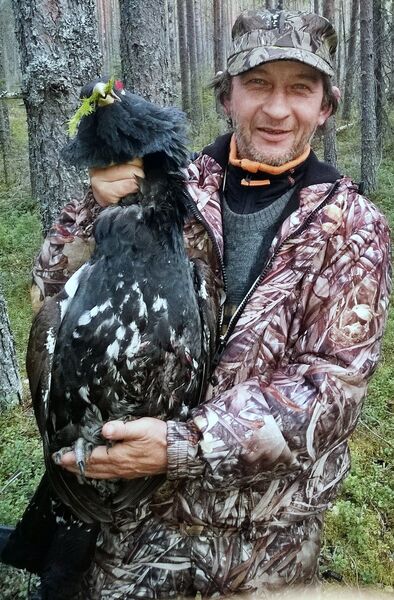  -,   , 61 ,   ,   , c 