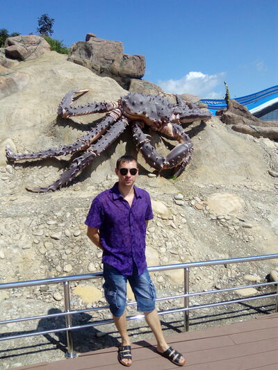   ,   ˸, 41 ,   , c , 