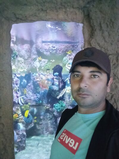  ,   , 38 ,   ,   