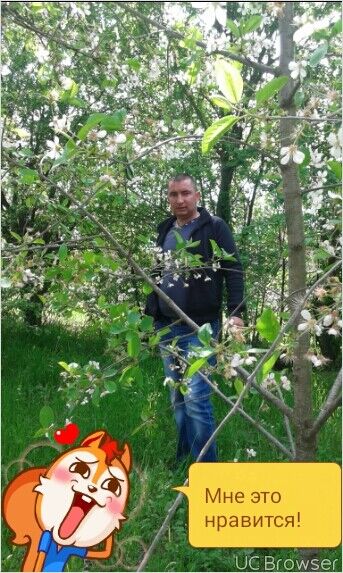  ,   , 43 ,   