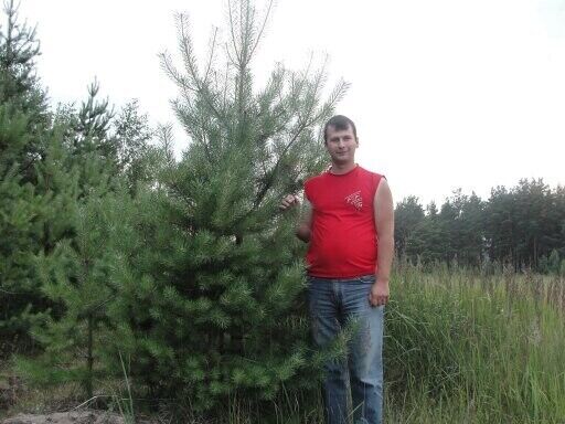 ���������� ������, ���� ������� �������, 46 ���, ������������ ��� ������, ����� � ���������, c�������� ���������, ���������