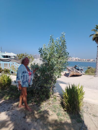  ,   , 71 ,  