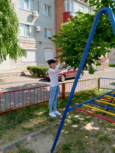  ,   , 38 ,   ,   