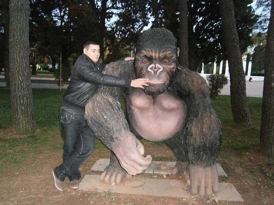  ,   Gio, 37 ,   ,   , c 