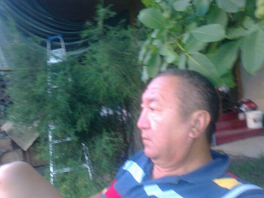  ,   , 62 ,   