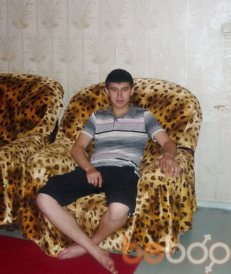  2398370  , 32 ,    