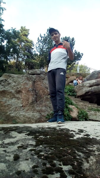  ,   , 26 ,   ,   , c , 