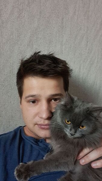  ,   , 29 ,   ,   , c , 