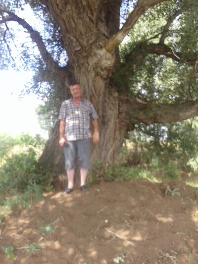  ,   , 63 ,   ,   , c 