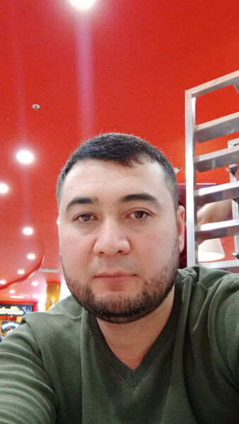  -,   , 41 ,   