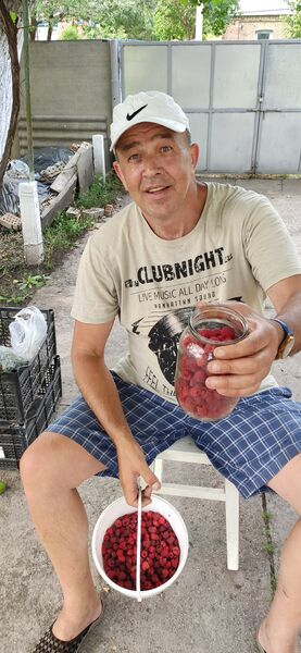  ,   , 55 ,   ,   , 