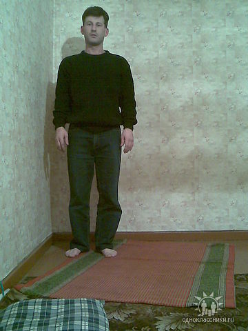  ,   Elman, 51 ,   