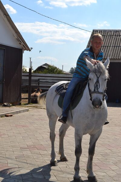  ,   Rolz, 33 ,   ,   , c 